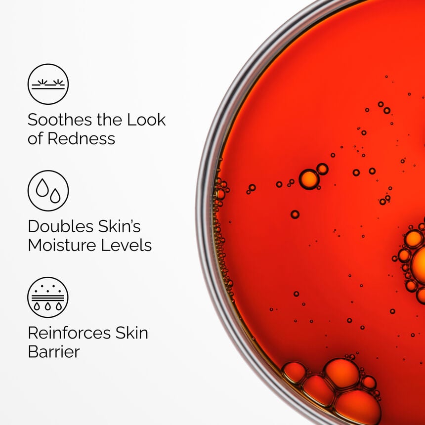 The INKEY Skin Pycnogenol 5% - Image 5