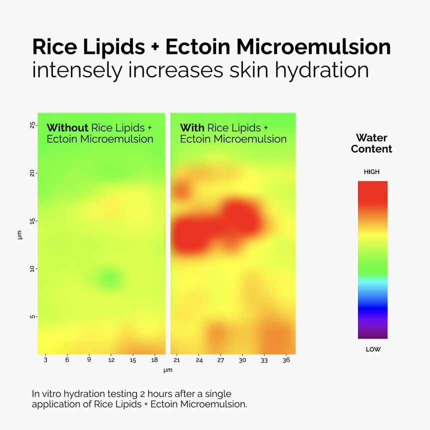 The INKEY Skin Rice Lipids + Ectoin Microemulsion - Image 2